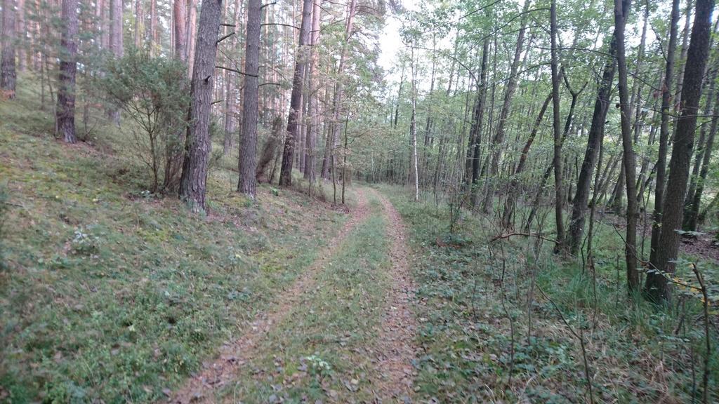 Fitnessfun Bed & Breakfast Krzyz Wielkopolski Bagian luar foto