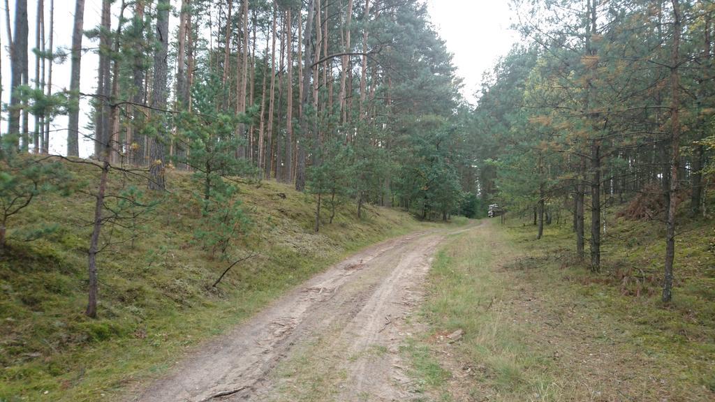 Fitnessfun Bed & Breakfast Krzyz Wielkopolski Bagian luar foto
